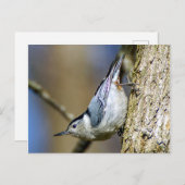 白い胸ぬかぎ葉書 ポストカード (正面/裏面)