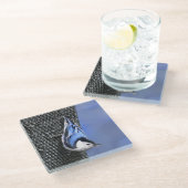 白い胸を持つヌサッチ絵画のオリジナルバードアート ガラスコースター (アングル)