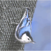 白い胸を持つヌサッチ絵画のオリジナルバードアート シール (正面)