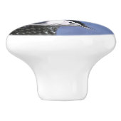 白い胸を持つヌサッチ絵画のオリジナルバードアート セラミックノブ (側面)