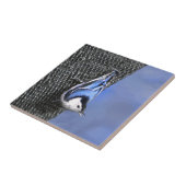 白い胸を持つヌサッチ絵画のオリジナルバードアート タイル (側面)