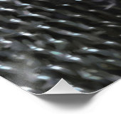 白い胸を持つヌサッチ絵画のオリジナルバードアート ポスター (コーナー)