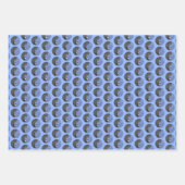 白い胸を持つヌサッチ絵画のオリジナルバードアート ラッピングペーパーシート (正面)