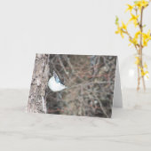 白い胸を持つヌサッチ カード (黄色い花)