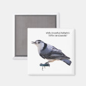 白い胸を持つヌサッチ マグネット (正面/裏面)