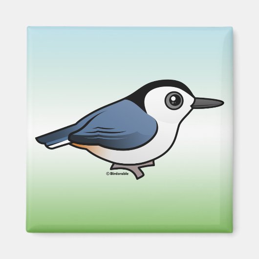 白い胸を持つヌサッチ マグネット (正面)