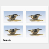 白い胸を持つヌサッチ 長方形シール (シート)