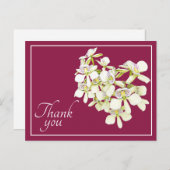白い脈のあるクリムゾン背景の蘭の花 ありがとう ポストカード (正面/裏面)