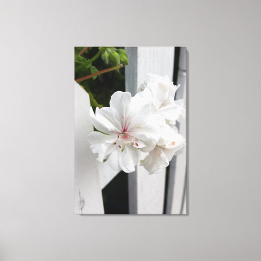 白い色合い キャンバスプリント (正面)