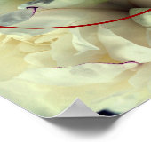 白い芍薬の花の写真で自分だけのデザイン  ポスター (角)