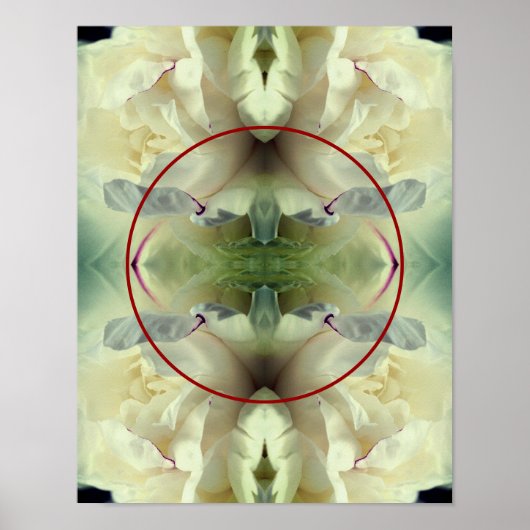 白い芍薬の花の写真で自分だけのデザイン  ポスター (正面)