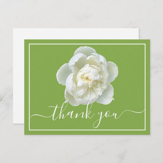 白い芍薬 ライムグリーンの背景 ありがとうございます ポストカード (正面/裏面)