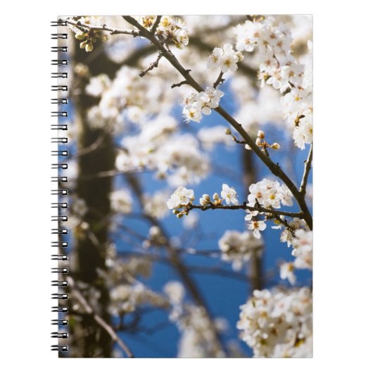 白い花が咲く青空の背景 ノートブック (正面)