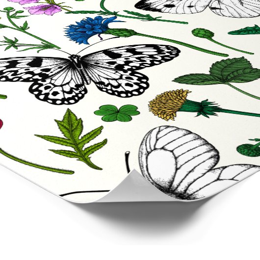 白い花と蝶 ポスター (角)