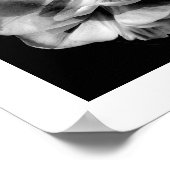 白い花と黒の背景II ポスター (角)