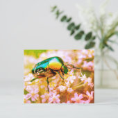 白い花のカブトムシ ポストカード (スタンド正面)