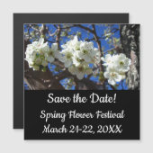 白い花のクラスタ春花の梨の木 (正面/裏面)