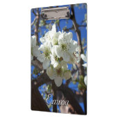 白い花のクラスタ春花の梨の木 クリップボード (左)