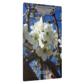 白い花のクラスタ春花の梨の木 クリップボード (右)