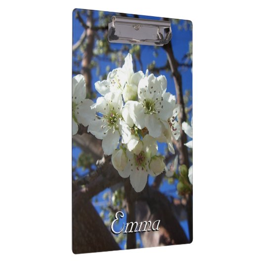 白い花のクラスタ春花の梨の木 クリップボード (右)