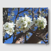白い花のクラスタ春花の梨の木 ゲストブック (裏面)
