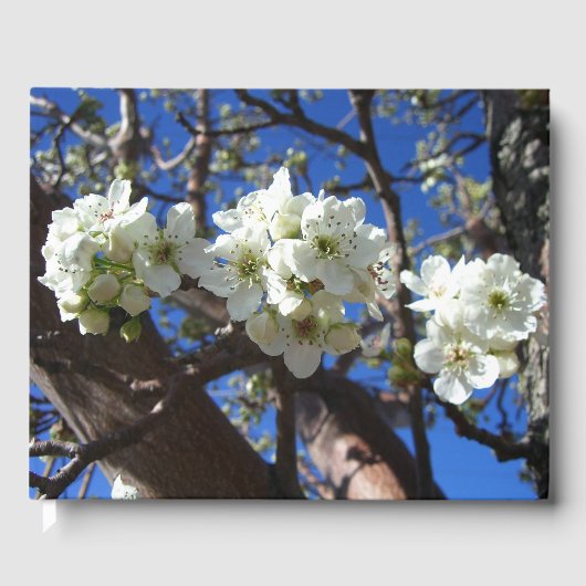 白い花のクラスタ春花の梨の木 ゲストブック (正面)