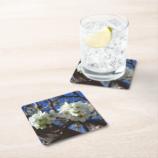 白い花のクラスタ春花の梨の木 スクエアペーパーコースター (インサイチュ)