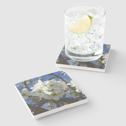 白い花のクラスタ春花の梨の木 ストーンコースター (横)