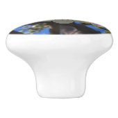 白い花のクラスタ春花の梨の木 セラミックノブ (側面)