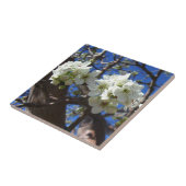 白い花のクラスタ春花の梨の木 タイル (側面)