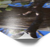 白い花のクラスタ春花の梨の木 フォトプリント            (角)