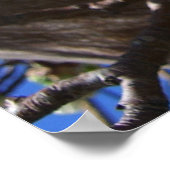 白い花のクラスタ春花の梨の木 ポスター (角)