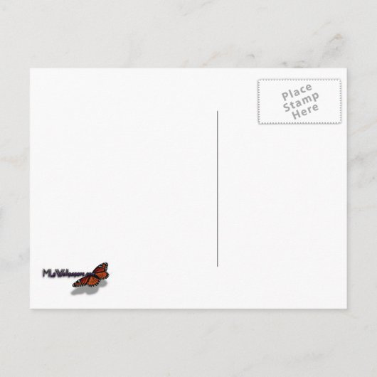 白い花のクラスタ春花の梨の木 ポストカード (裏面)