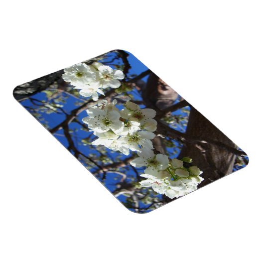 白い花のクラスタ春花の梨の木 マグネット (右側)