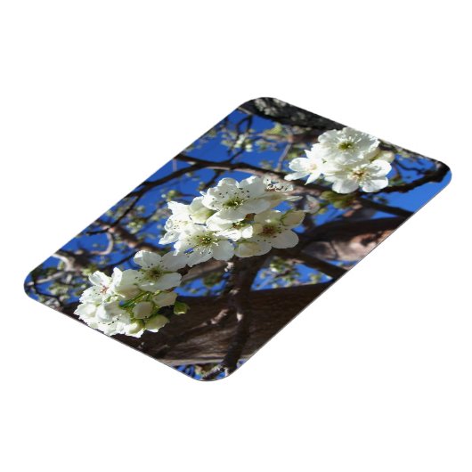 白い花のクラスタ春花の梨の木 マグネット (左側)