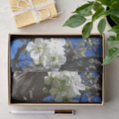 白い花のクラスタ春花の梨の木 薄葉紙 (ギフト)