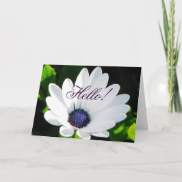 白い花のグリーティングカード カード