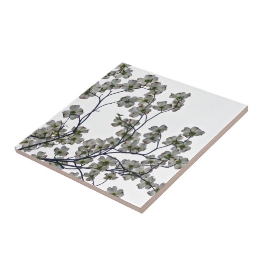 白い花のハナミズキ タイル (側面)