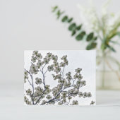 白い花のハナミズキ ポストカード (スタンド正面)