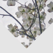 白い花のハナミズキ 薄葉紙 (詳細)