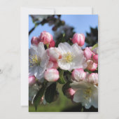 白い花のフローラ結婚が日付を救う 招待状 (裏面)