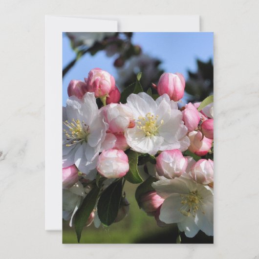 白い花のフローラ結婚が日付を救う 招待状 (裏面)