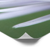 白い花のミツバチ ポスター (角)