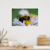 白い花のミツバチ ポスター (キッチン)