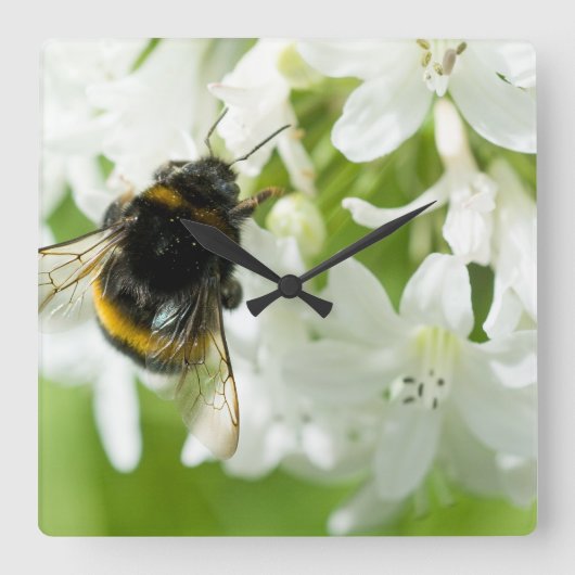 白い花の上に蜂 スクエア壁時計 (正面)