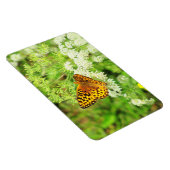 白い花の上に黒とオレンジの蝶 マグネット (右側)