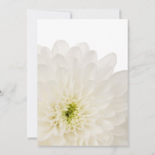 白い花の写真の死の発表カード 案内状 (裏面)