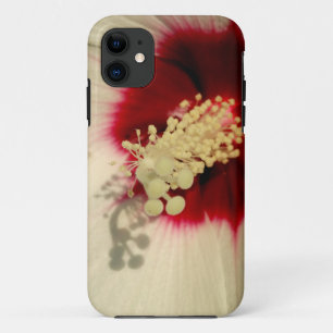 白い花の写真の電話SE + iPhone 5/5S 11 ケース