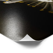 白い花の写真拡大 フォトプリント            (角)