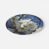 白い花の塊 春に咲く梨の木 ペーパープレート (アングル)